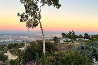 Single Family Residence, 9 Maverick ln, Rolling Hills, CA 90274 - 8