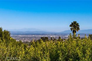 Single Family Residence, 2501 Novato pl, Palos Verdes Estates, CA 90274 - 52