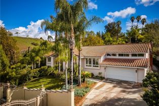 Single Family Residence, 384  S Country Hill RD, Anaheim Hills, CA  Anaheim Hills, CA 92808