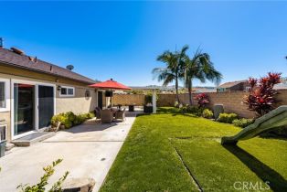 Single Family Residence, 253 North Camino Arroyo, Anaheim Hills, CA 92807 - 21