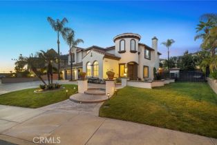 Single Family Residence, 18391 Southern Hills WAY, CA  , CA 92886
