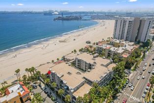 Condominium, 1500  E Ocean BLVD, CA  , CA 90802