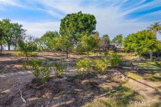 , 0 Fullerton, Fullerton, CA 92833 - 15