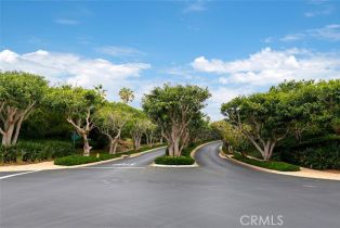 Single Family Residence, 4 Baffin bay, Newport Coast, CA 92657 - 51