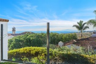 Single Family Residence, 4 Baffin bay, Newport Coast, CA 92657 - 8