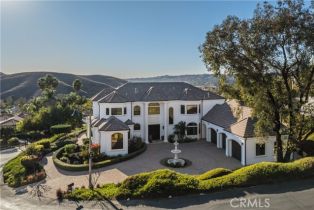 Single Family Residence, 28484 Via Mambrino, San Juan Capistrano, CA 92675 - 62