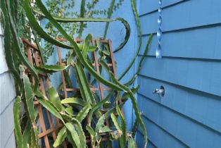 Single Family Residence, 11 67th pl, Long Beach, CA 90803 - 16