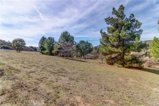 Single Family Residence, 38510 Calle De Lobo, Murrieta, CA 92562 - 45