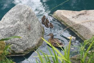 Condominium, 4900 Chapman ave, Orange, CA 92869 - 39