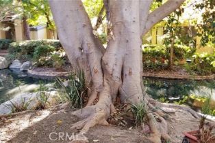 Condominium, 4900 Chapman ave, Orange, CA 92869 - 4