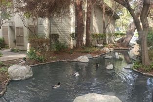 Condominium, 4900 Chapman ave, Orange, CA 92869 - 44