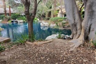 Condominium, 4900 Chapman ave, Orange, CA 92869 - 45