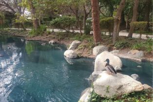 Condominium, 4900 Chapman ave, Orange, CA 92869 - 46