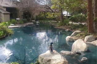 Condominium, 4900 Chapman ave, Orange, CA 92869 - 47