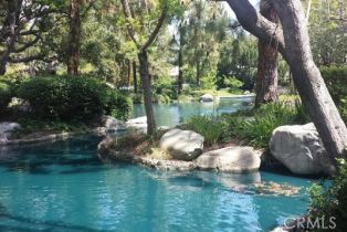 Residential Lease, 4900  E Chapman AVE, Orange, CA  Orange, CA 92869