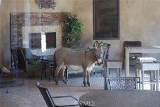 Single Family Residence, 41215 Avenida De Los Posas, Murrieta, CA 92562 - 17