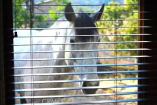 Single Family Residence, 41215 Avenida De Los Posas, Murrieta, CA 92562 - 25