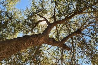 Single Family Residence, 41215 Avenida De Los Posas, Murrieta, CA 92562 - 56