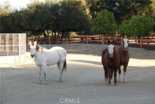 Single Family Residence, 41215 Avenida De Los Posas, Murrieta, CA 92562 - 57