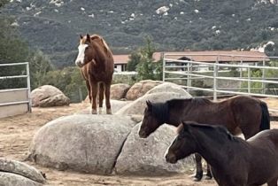 Single Family Residence, 41215 Avenida De Los Posas, Murrieta, CA 92562 - 58