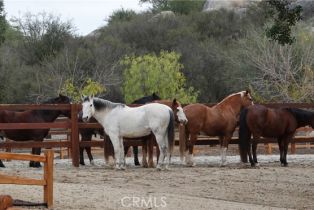 Single Family Residence, 41215 Avenida De Los Posas, Murrieta, CA 92562 - 59