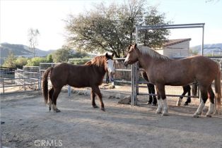Single Family Residence, 41215 Avenida De Los Posas, Murrieta, CA 92562 - 60