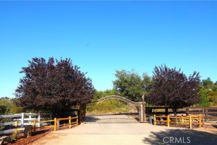 Single Family Residence, 41215 Avenida De Los Posas, Murrieta, CA 92562 - 61