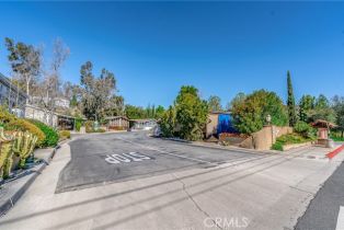 , 23777 Mulholland hwy, Calabasas, CA 91302 - 5