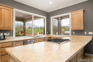 Single Family Residence, 31361 Trigo trl, Coto De Caza, CA 92679 - 47