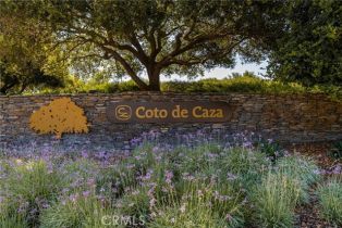 Single Family Residence, 31361 Trigo trl, Coto De Caza, CA 92679 - 71