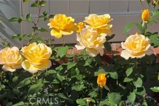 Single Family Residence, 5280 Via Brumosa, Yorba Linda, CA 92886 - 39