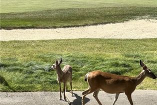 Single Family Residence, 10479 Fairway ln, Carmel Valley, CA 93923 - 8