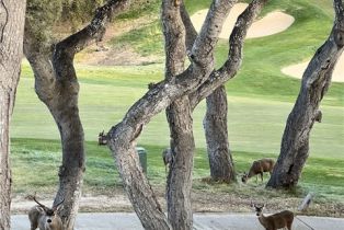 Single Family Residence, 10479 Fairway ln, Carmel Valley, CA 93923 - 9