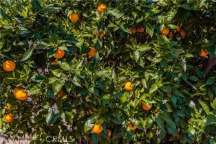 Single Family Residence, 358 Shaffer st, Orange, CA 92866 - 37