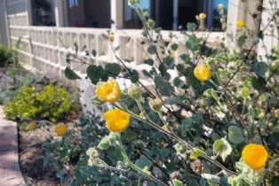 Condominium, 1601 Golden Rain 117B M-5, Seal Beach, CA 90740 - 3