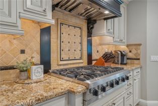 Single Family Residence, 19311 Winchester ln, Yorba Linda, CA 92886 - 10