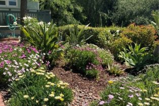 Single Family Residence, 137 Hillcrest dr, Fullerton, CA 92832 - 62