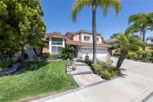 Single Family Residence, 28155 Meadow Land dr, Yorba Linda, CA 92887 - 4