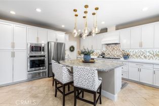 Single Family Residence, 253 Tulip Tree, Orange, CA 92865 - 14