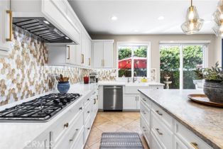 Single Family Residence, 253 Tulip Tree, Orange, CA 92865 - 2