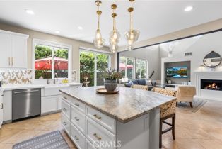 Single Family Residence, 253  W Tulip Tree, Orange, CA  Orange, CA 92865