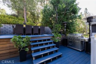 Single Family Residence, 31746 Via Patito, Coto De Caza, CA 92679 - 34