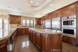 Single Family Residence, 59 Ritz Cove dr, Dana Point, CA 92629 - 31