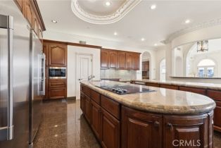 Single Family Residence, 59 Ritz Cove dr, Dana Point, CA 92629 - 33