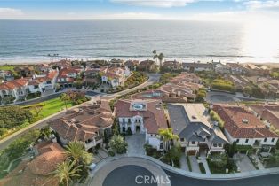 Single Family Residence, 59 Ritz Cove dr, Dana Point, CA 92629 - 57