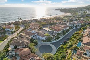Single Family Residence, 59 Ritz Cove dr, Dana Point, CA 92629 - 58