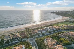 Single Family Residence, 59 Ritz Cove dr, Dana Point, CA 92629 - 63