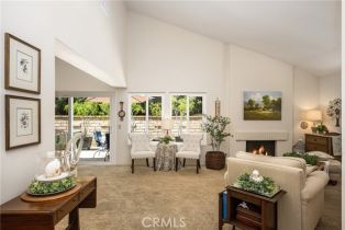 Single Family Residence, 5333 Via Ramon rd, Yorba Linda, CA 92887 - 9