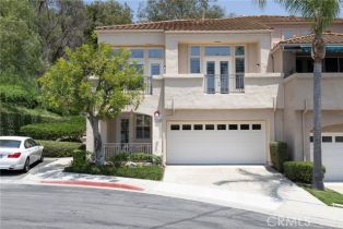 Residential Lease, 308  S San Vicente LN, Anaheim Hills, CA  Anaheim Hills, CA 92807