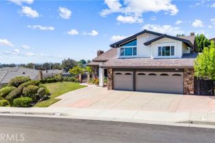 Single Family Residence, 2223 Vista Mesa way, Orange, CA 92867 - 44